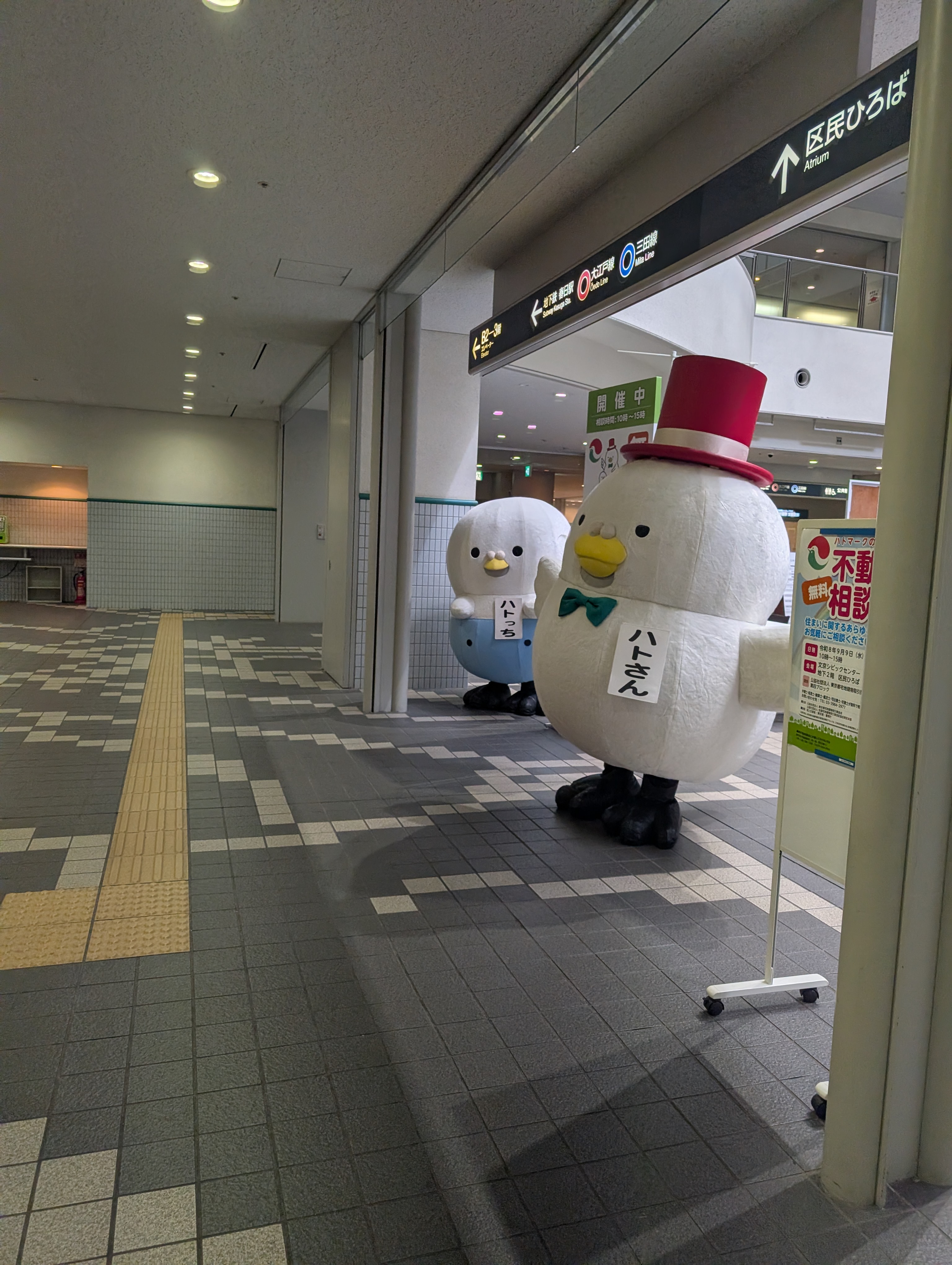ハトさんとハトっちも応援に♪